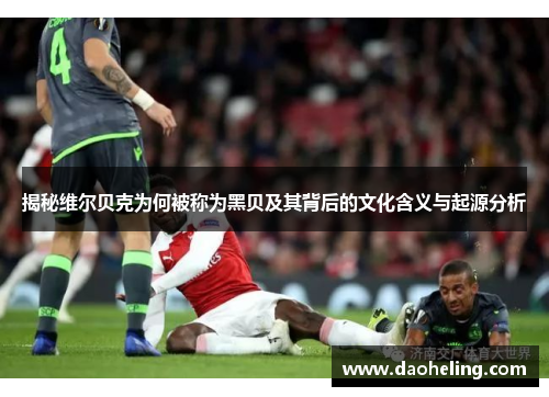 揭秘维尔贝克为何被称为黑贝及其背后的文化含义与起源分析